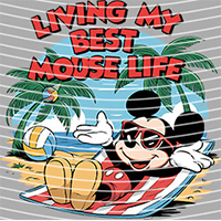 Cartoons and other-CO 1748